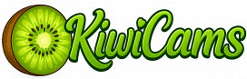 kiwi-cams-erotic-sex-show-live